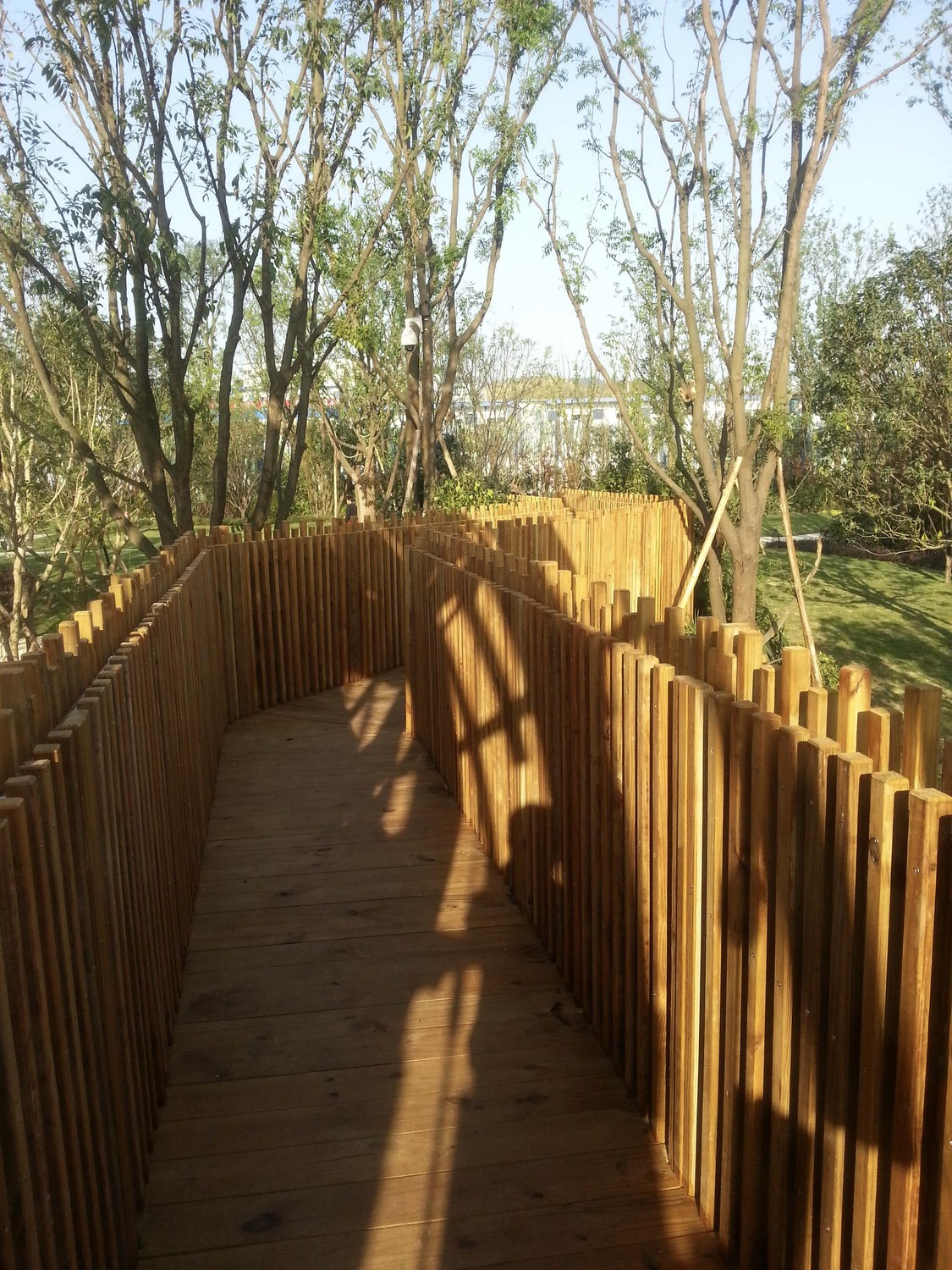 20140921_172125.JPG