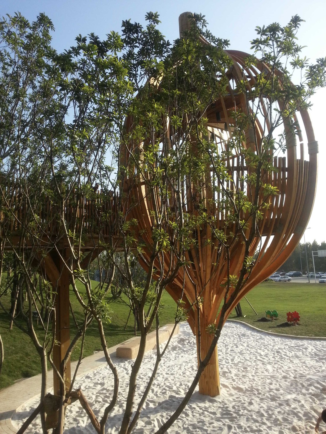 20140921_172029.JPG